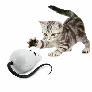 EDCO Jezdící myš na hraní pro kočky