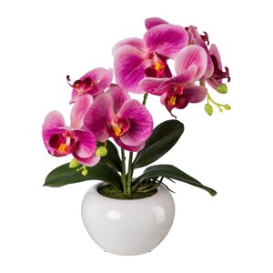 Gasper Orchidej v keramickém květináči, 35 cm, fuchsie
