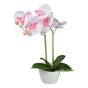Gasper Orchidej v bílém melaminovém květináči, 33 cm, růžový ""