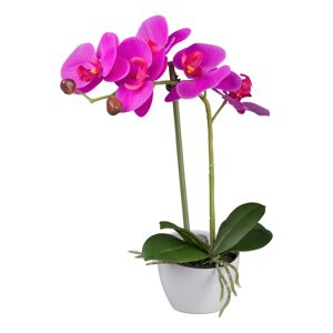 Gasper Orchidej v bílém melaminovém květináči, 33 cm, fialová ""