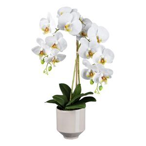 Gasper Orchidej v keramickém květináči, 60 cm, bílá