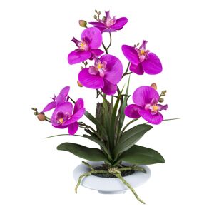 Gasper Orchidej v keramickém květináči, 41 cm, fialová