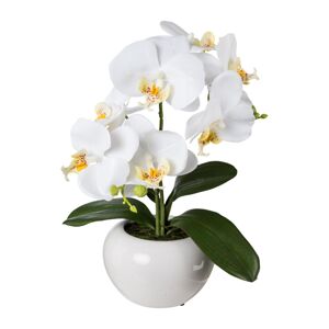 Gasper Umělá orchidej v keramickém květináči, 35 cm, bílá