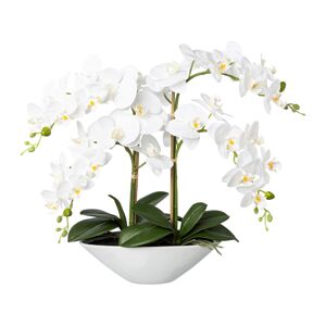 Gasper Orchidej v keramické misce, 53 cm