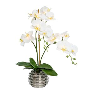 Gasper Umělá květina Orchidej 60 cm s 9 LED, krémová