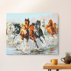 Weltbild Malování podle čísel - Divocí koně